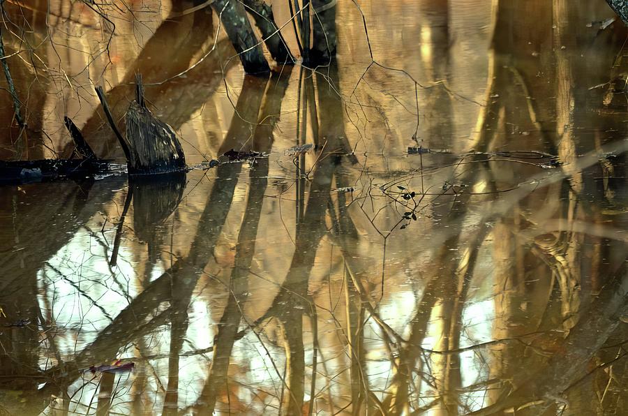 Water Reflection Photograph