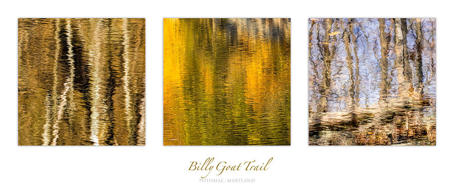 Water Reflection Triptych Photograph