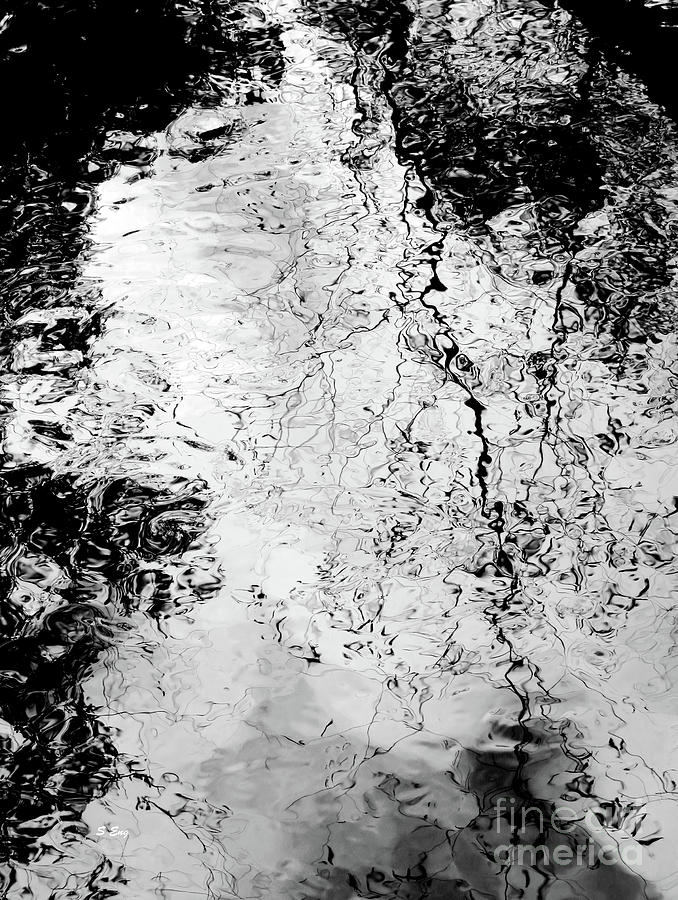 Water Reflections in Black and White Photograph by Sharon Williams Eng