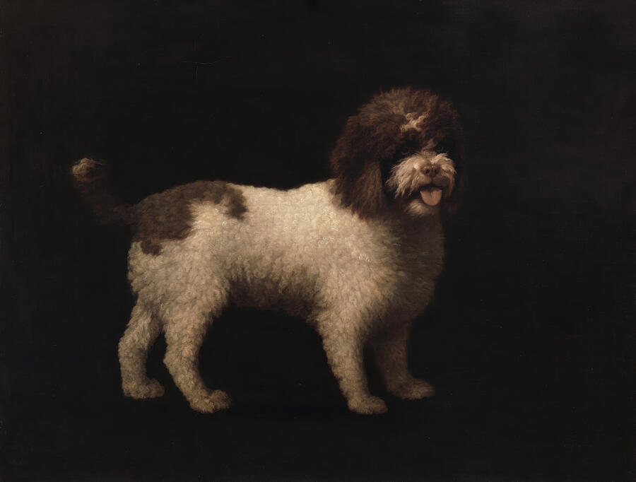 Water Spaniel - George Stubbs Digital Art by Samuel HUYNH Water Spaniel - George Stubbs Digital Art by Samuel HUYNH