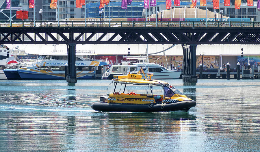 Water Taxi A211157-1 Photograph by Deidre Elzer-Lento