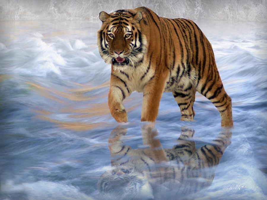 Water Tiger Digital Art by Bill Stephens