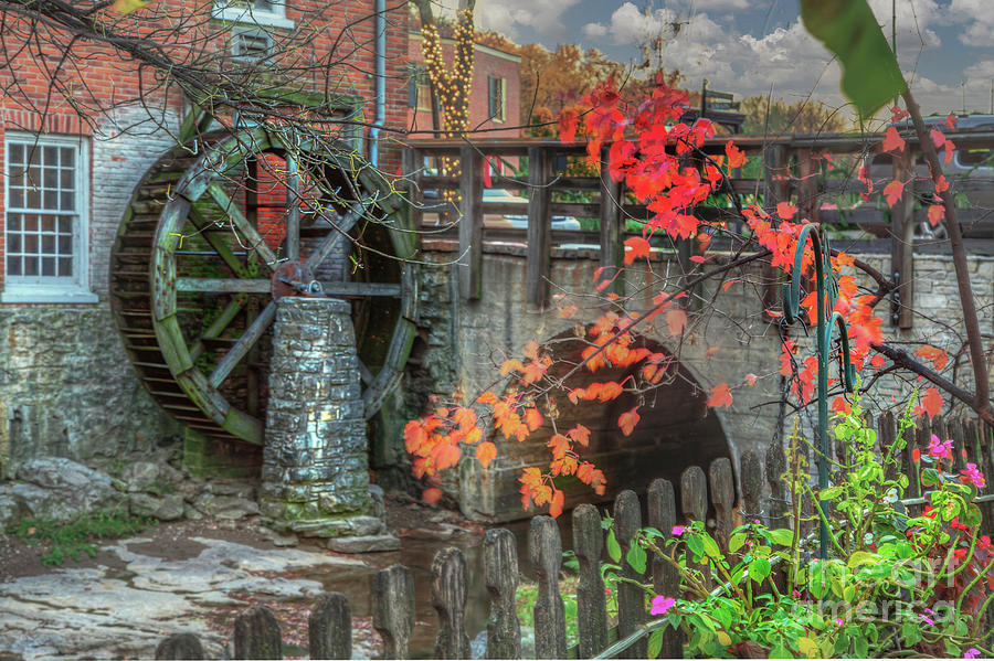 Flower Photograph - Water Wheel by Larry Braun Flower Photograph - Water Wheel by Larry Braun