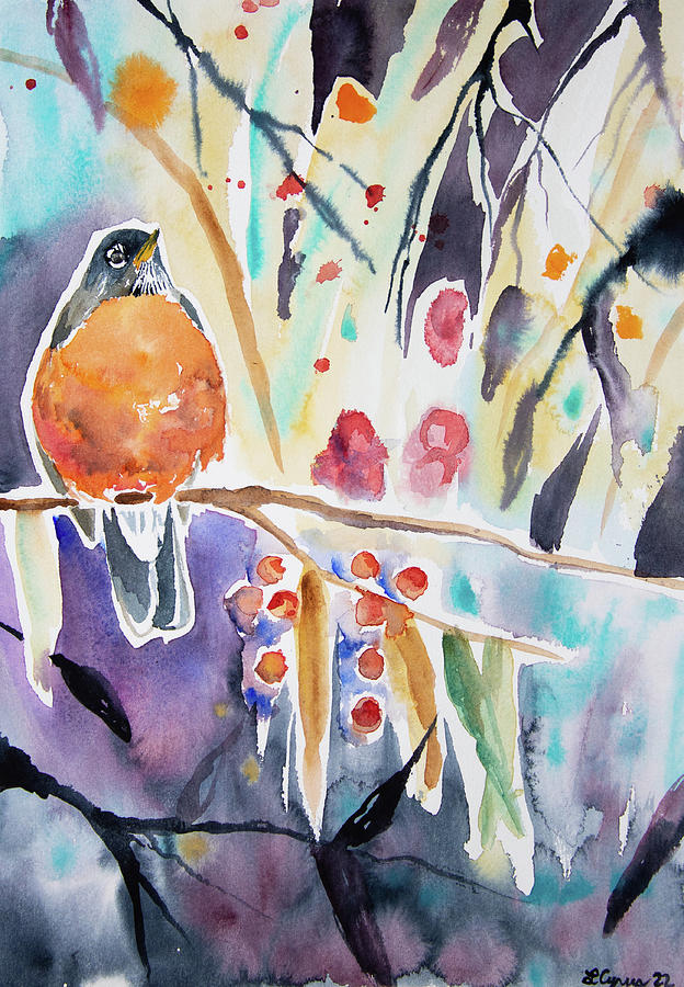Watercolor - American Robin  Painting by Cascade Colors