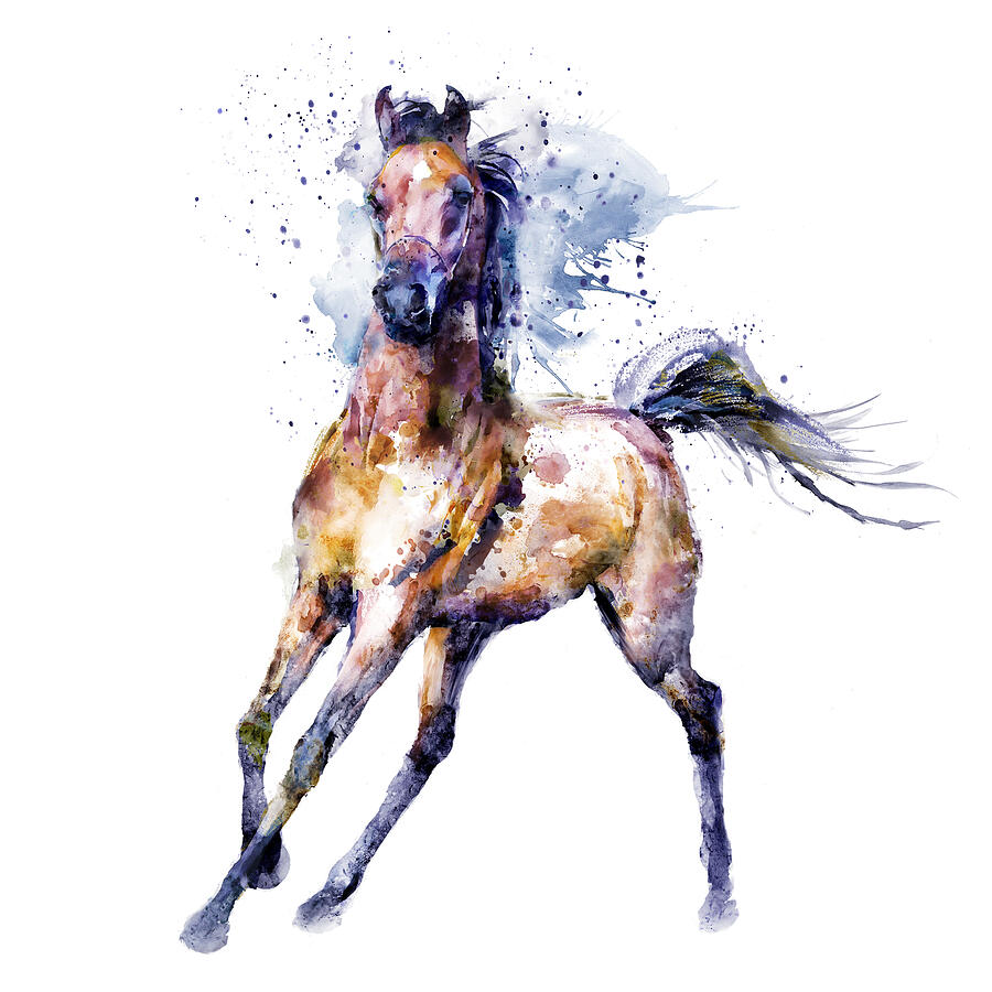 Watercolor Arabian Horse Painting by Marian Voicu