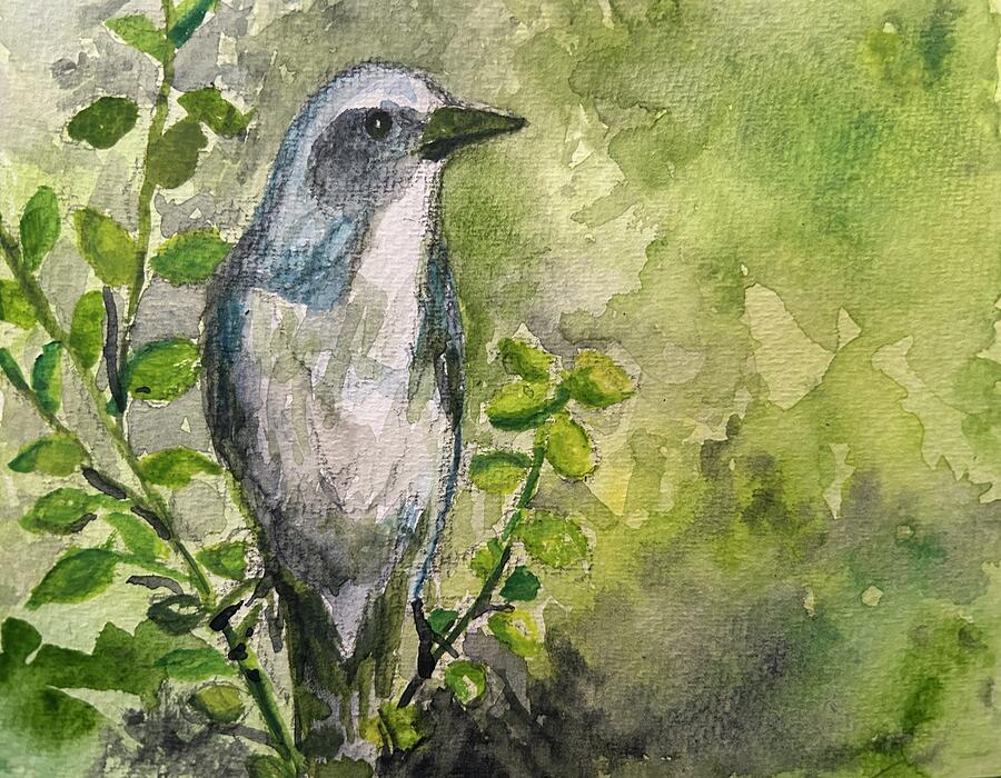 Watercolor Bird Painting by Larry Whitler