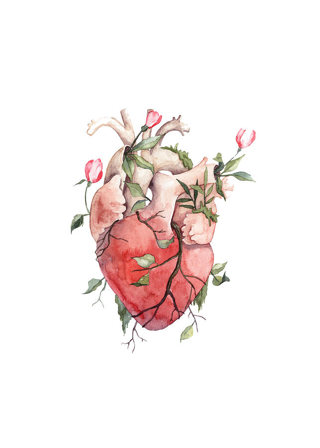 heart drawings tattoos