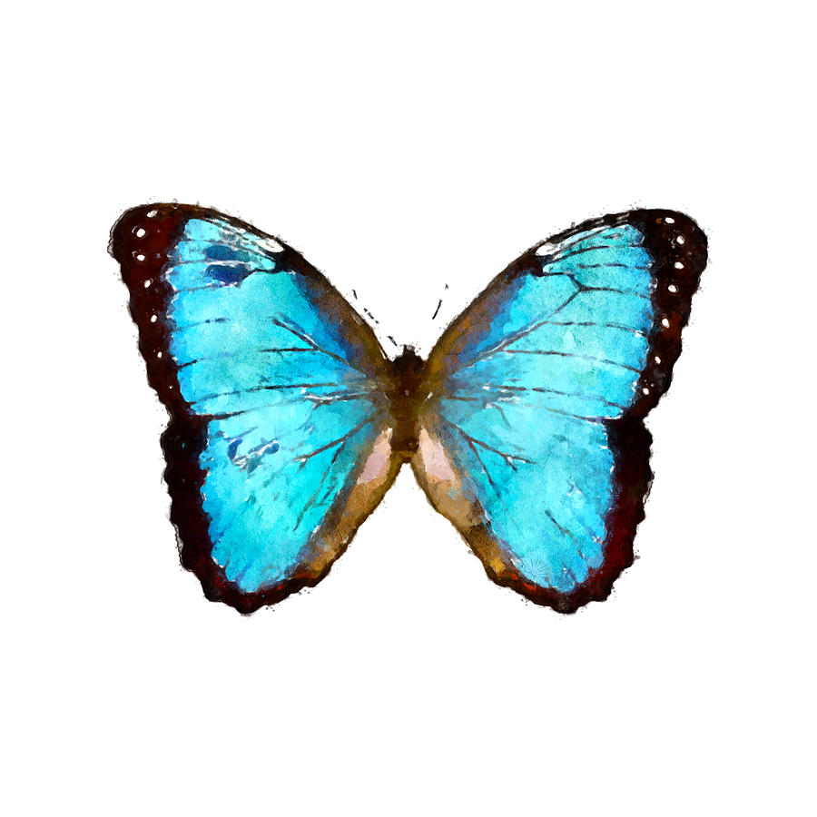 Watercolor Blue Morpho Aqua Watercolor Morpho peleides - Choose a Background Color Painting by Large Wall Art For Living Room