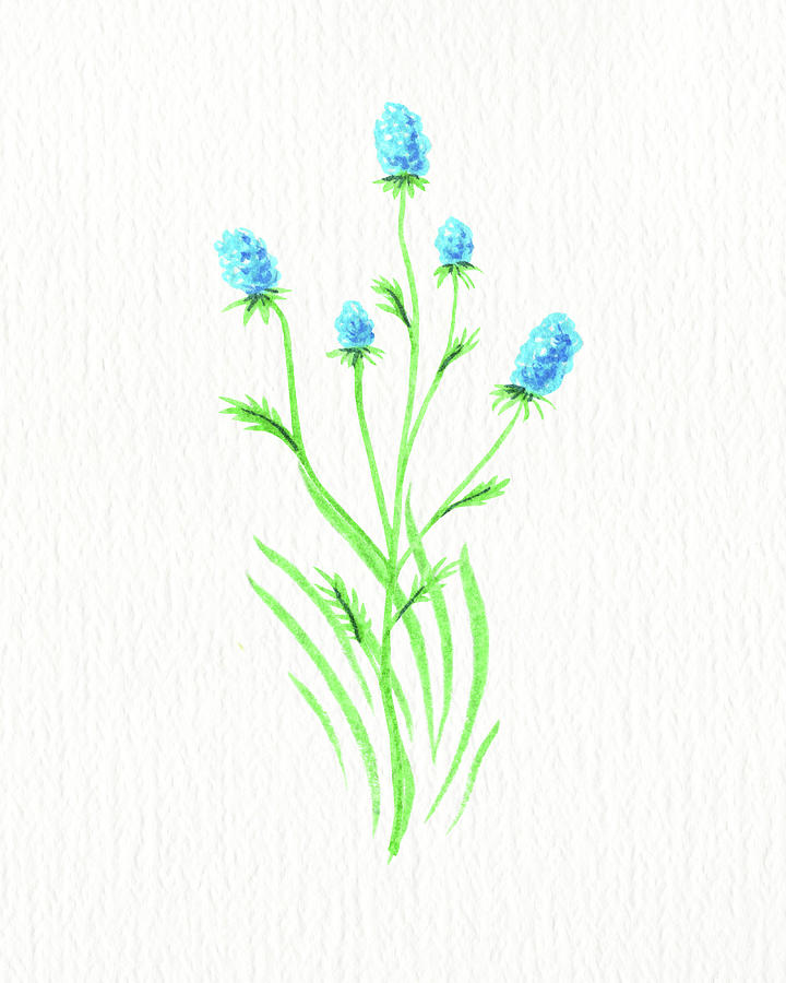 Watercolor Blue Wildflower Bluebonnet Simple Grace Floral Beauty  Painting by Irina Sztukowski