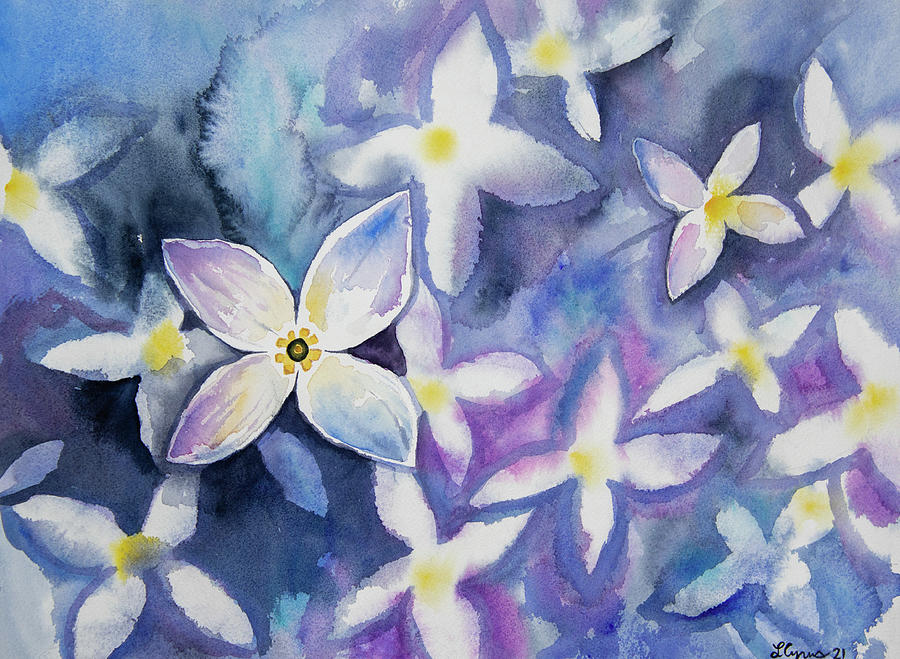 Watercolor - Bluet Wildflower Impression Painting by Cascade Colors