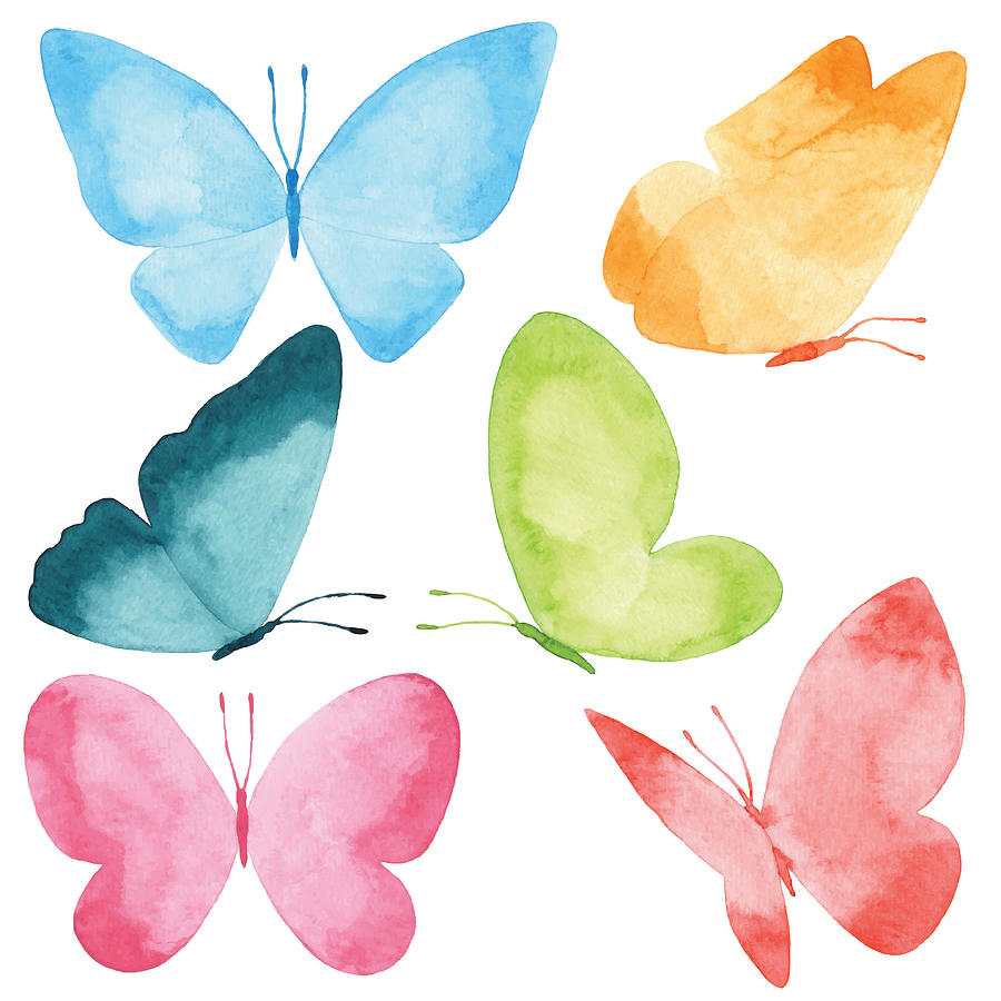 Watercolor Butterflies Drawing by Saemilee