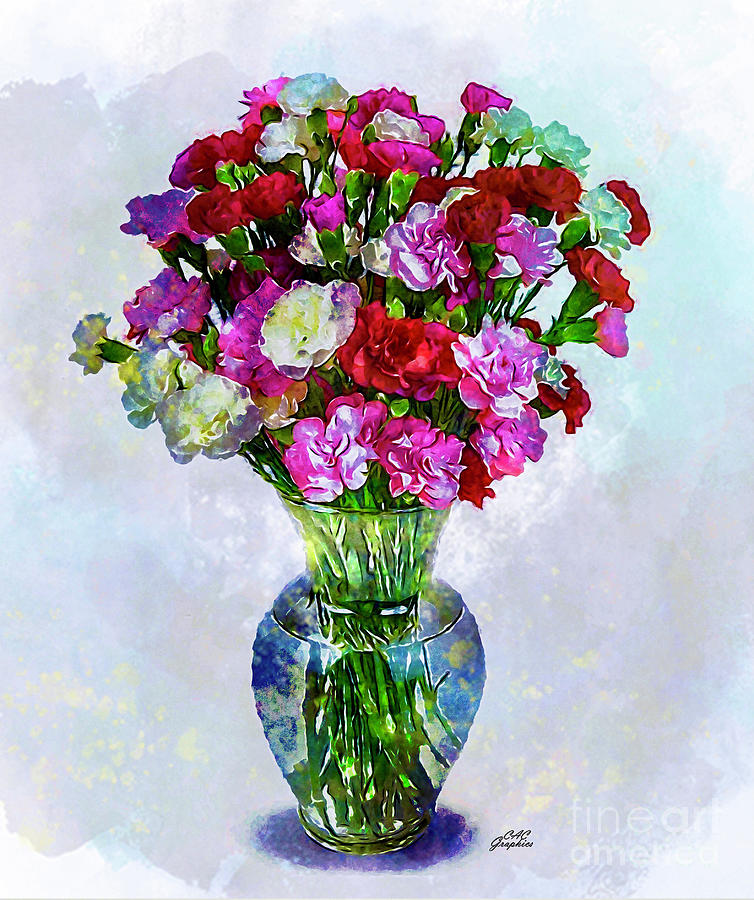 Watercolor Carnations Painting by CAC Graphics
