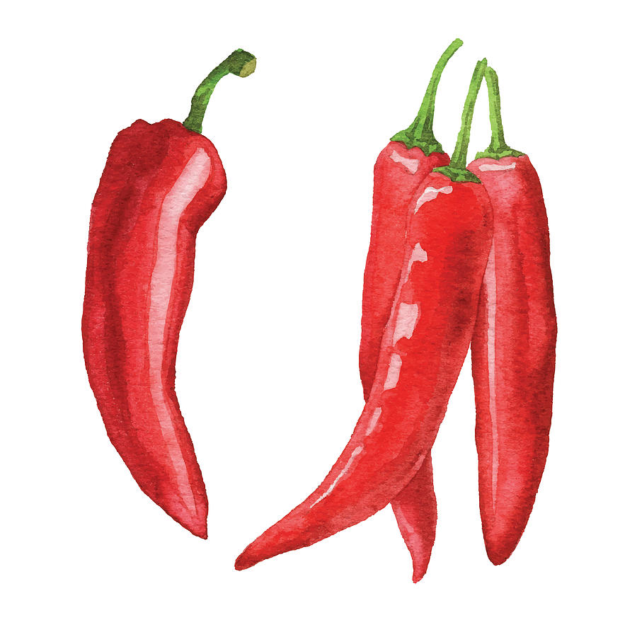 Watercolor Chili Peppers Drawing by Saemilee