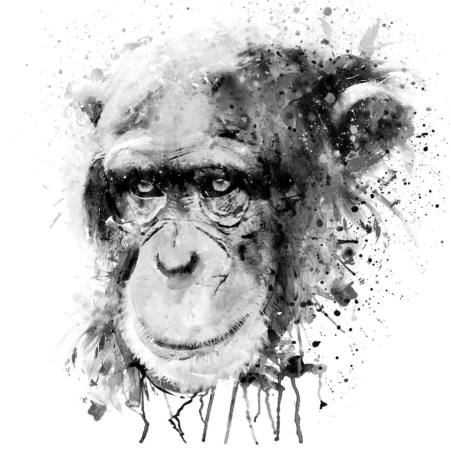 Watercolor Chimpanzee Black and White Painting by Marian Voicu