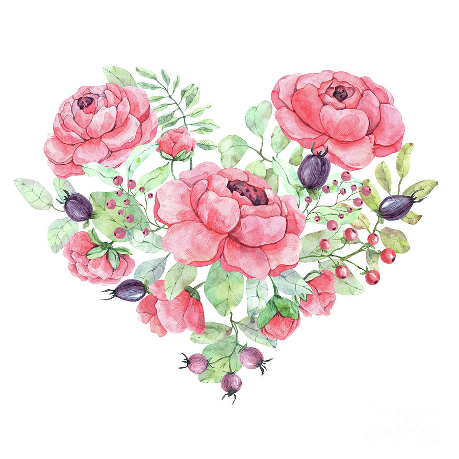 Watercolor Composition In The Form Of A Heart Made Of Peonies Buds Berries Leaves And Twigs Drawing By Maria Alferova