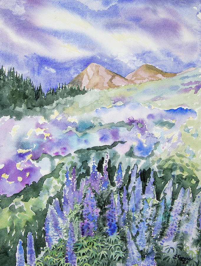 Watercolor - Crested Butte Lupine Evening Painting by Cascade Colors