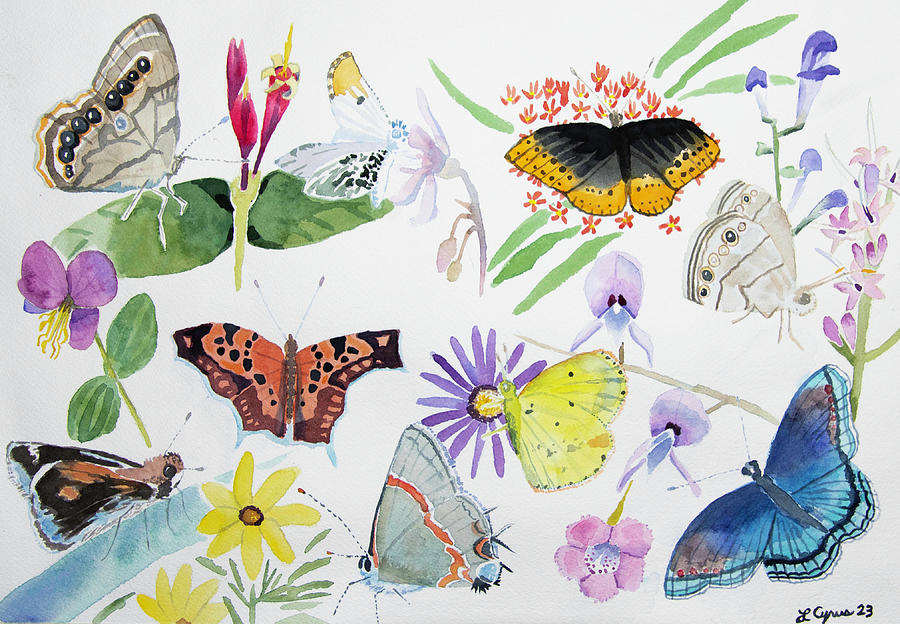 Watercolor - Cumberland Plateau Butterflies and Wildflowers Painting by Cascade Colors