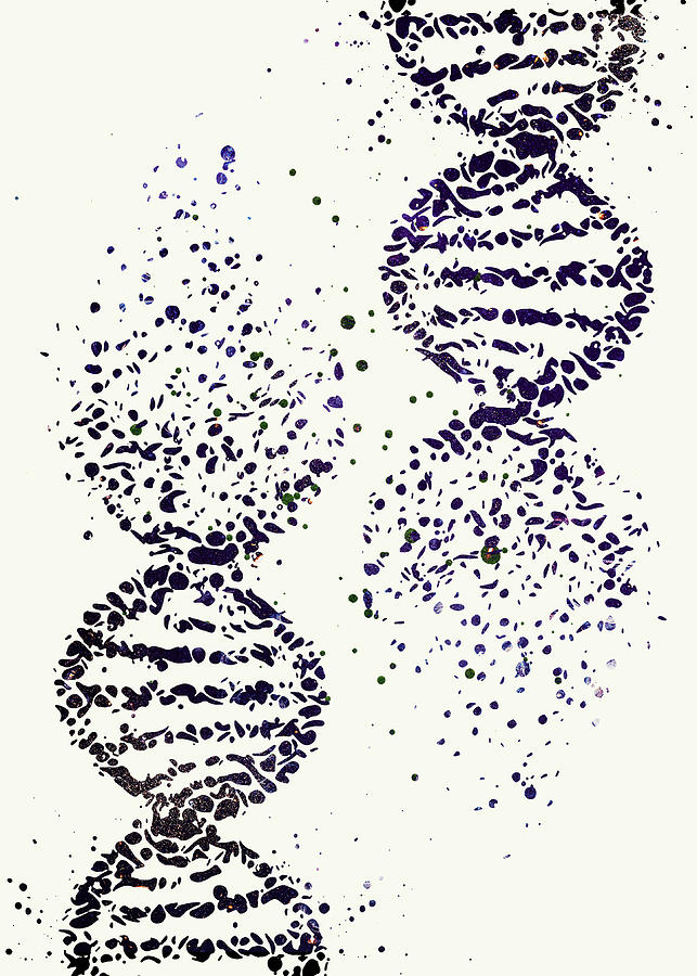 Watercolor DNA Watercolor Print Dna Molecule Medical Wall Art Nurse ...