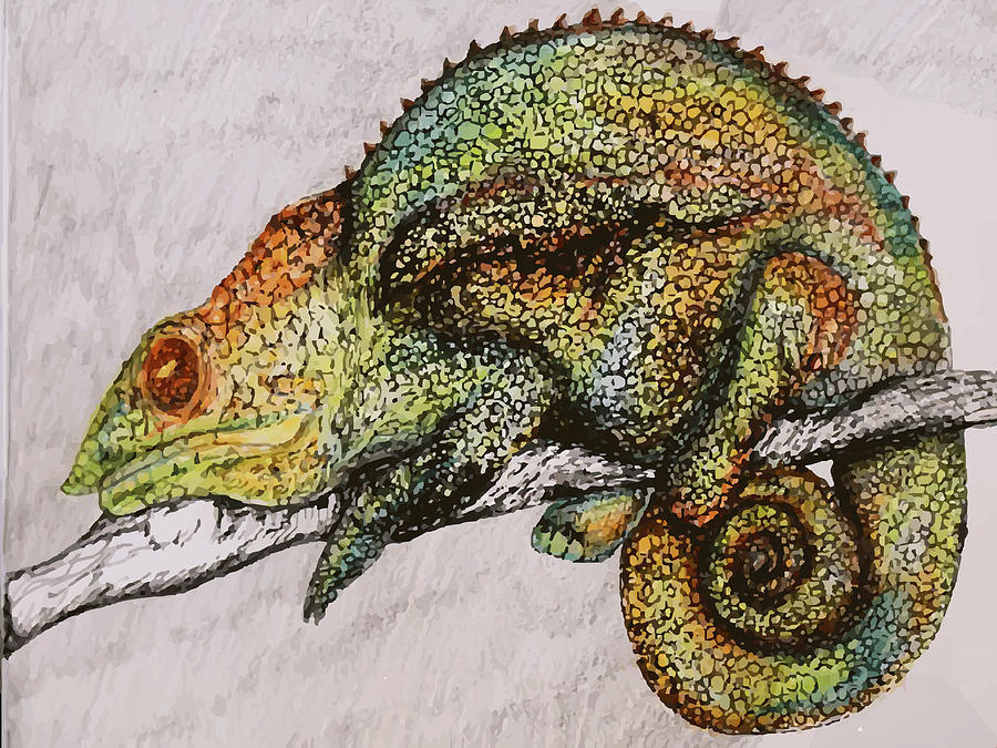 Vintage Drawing - Watercolor drawing of a Chameleon, colorful Chameleon illustration, wild animals posters print by Mounir Khalfouf