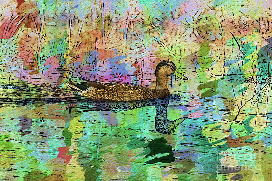 Watercolor Duck Mixed Media by Deborah Benoit