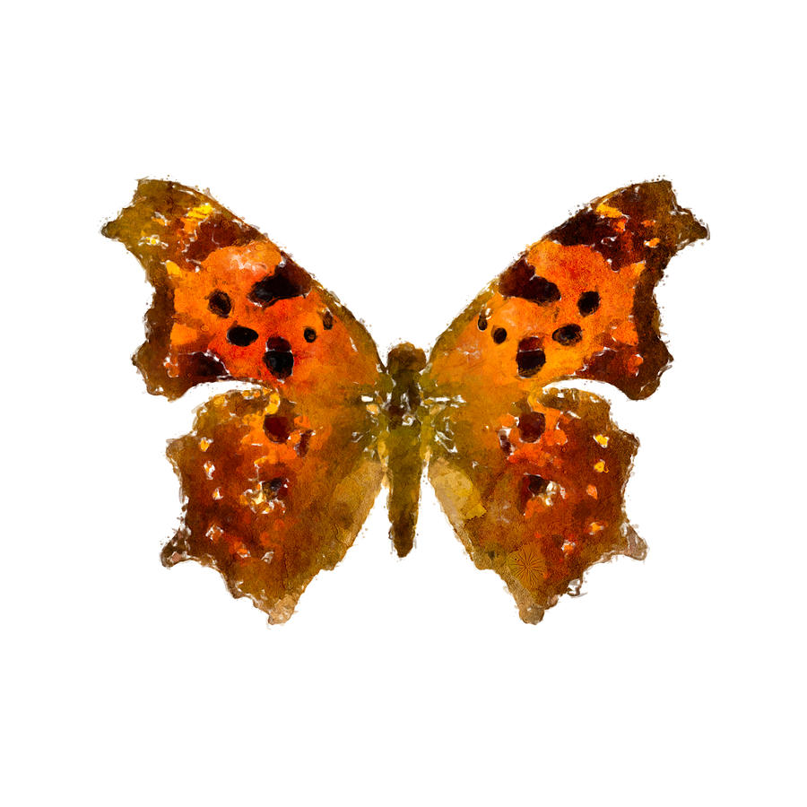 Watercolor Eastern Comma Watercolor Polygonia comma - Choose a Background Color Painting by Large Wall Art For Living Room