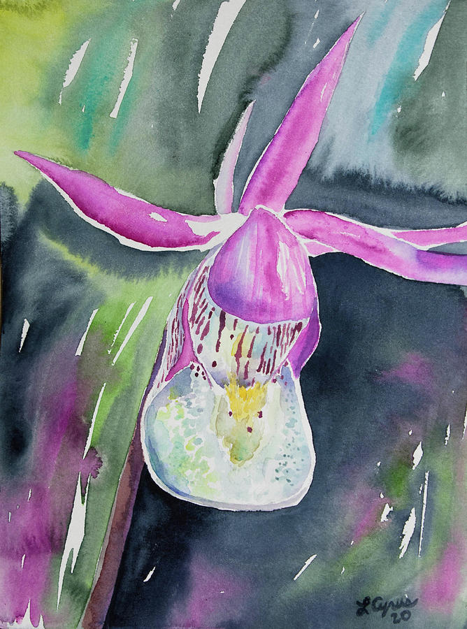 Watercolor - Fairy Slipper Painting by Cascade Colors