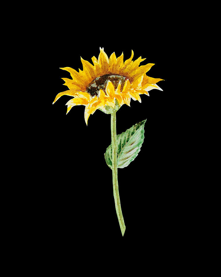 Watercolor Flower Floral Art Minimalism PNG XXI Painting by Irina Sztukowski Watercolor Flower Floral Art Minimalism PNG XXI Painting by Irina Sztukowski