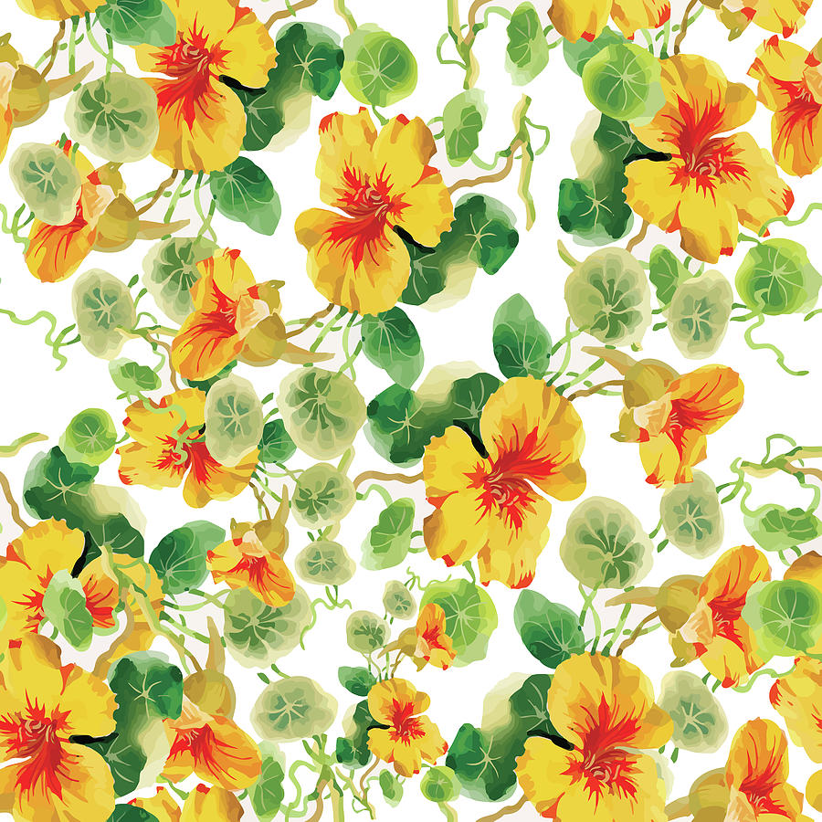 Watercolor Flower On White Background, Seamless Pattern Drawing