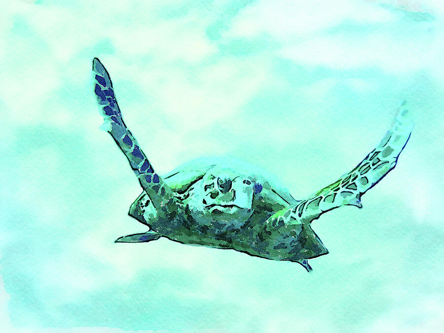 Watercolor Flying Sea Turtle-Wildlife Painting  Digital Art by Shelli Fitzpatrick