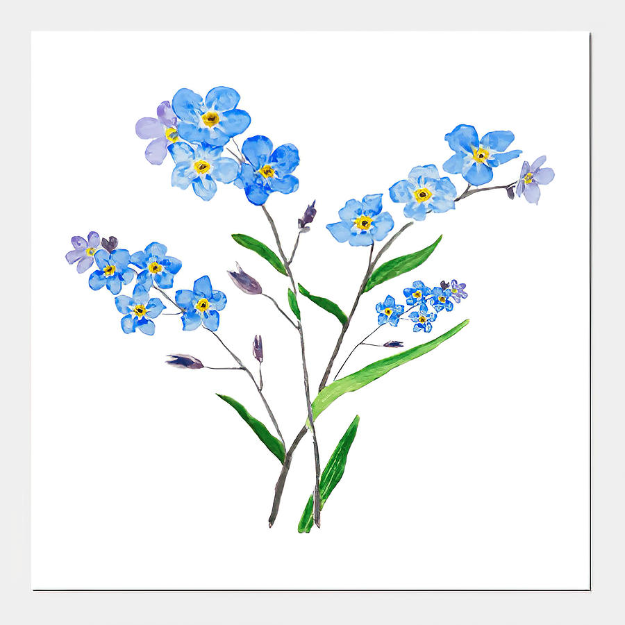 Watercolor Forget Me Not Tapestry - Textile by Alex Jones | Pixels