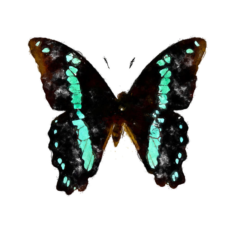 Watercolor Green-banded Swallowtail, Blue-banded Swallowtail Watercolor Papilio nireus Painting by Large Wall Art For Living Room Watercolor Green-banded Swallowtail, Blue-banded Swallowtail Watercolor Papilio nireus Painting by Large Wall Art For Living Room