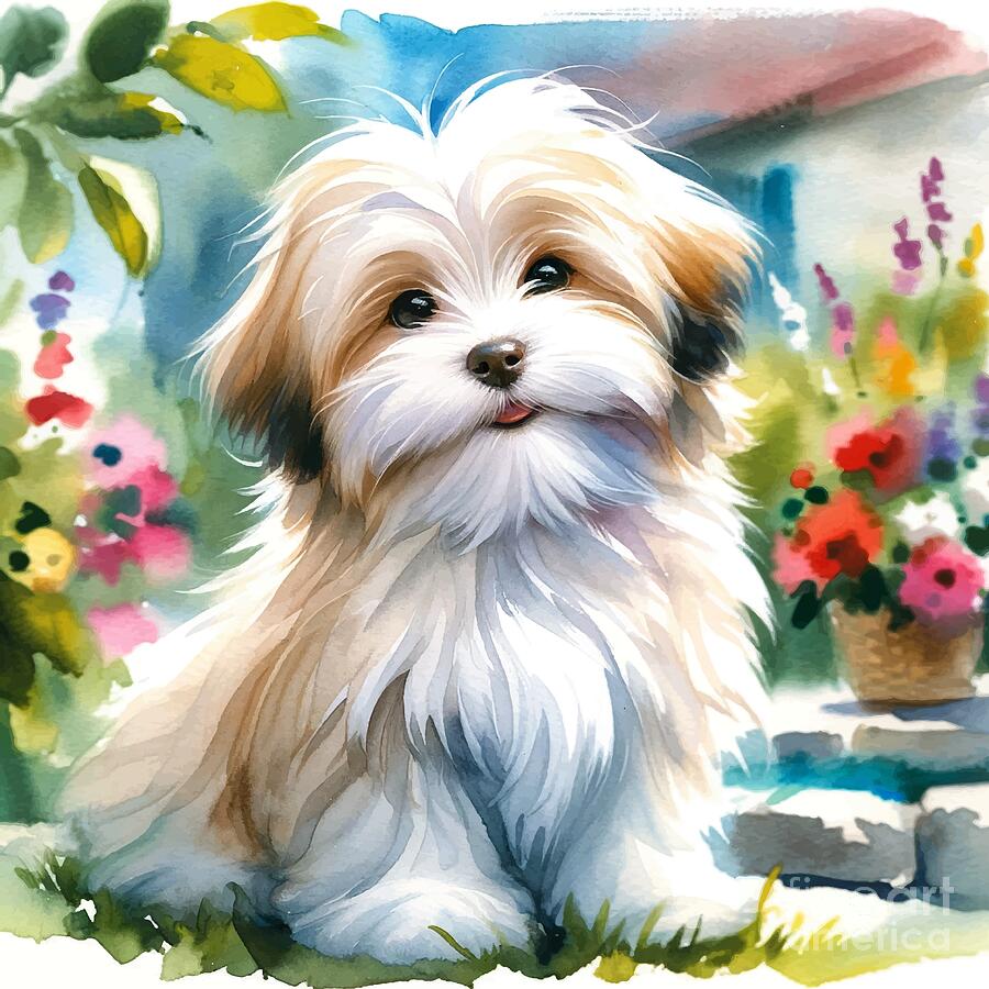 Watercolor Havanese Puppies Painting - Dog Portrait Painting by ...