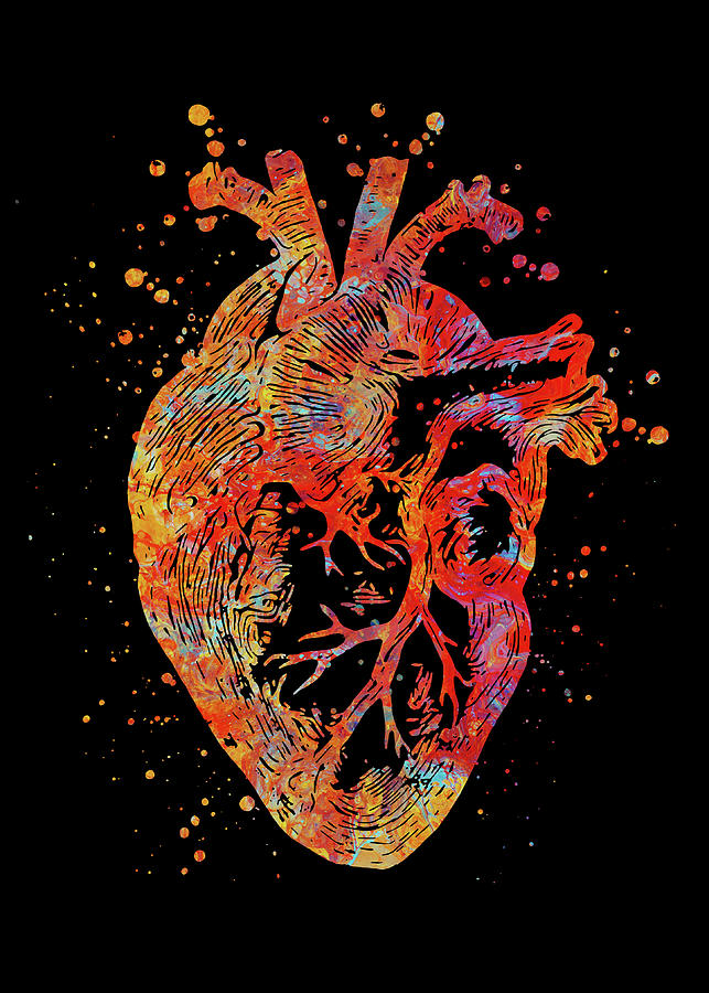 Watercolor Heart Anatomy Watercolor Print Cardiology Decor Medical Art ...