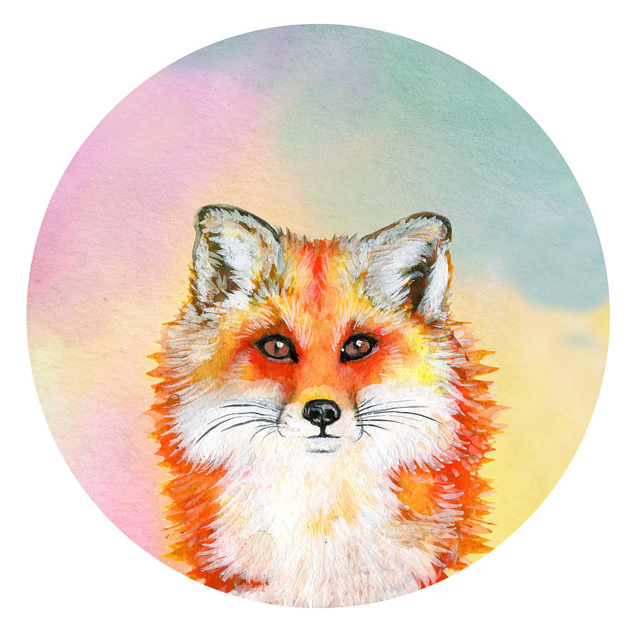 Watercolor Illistration Fox On Colorful Round Background, Isolated. Drawing