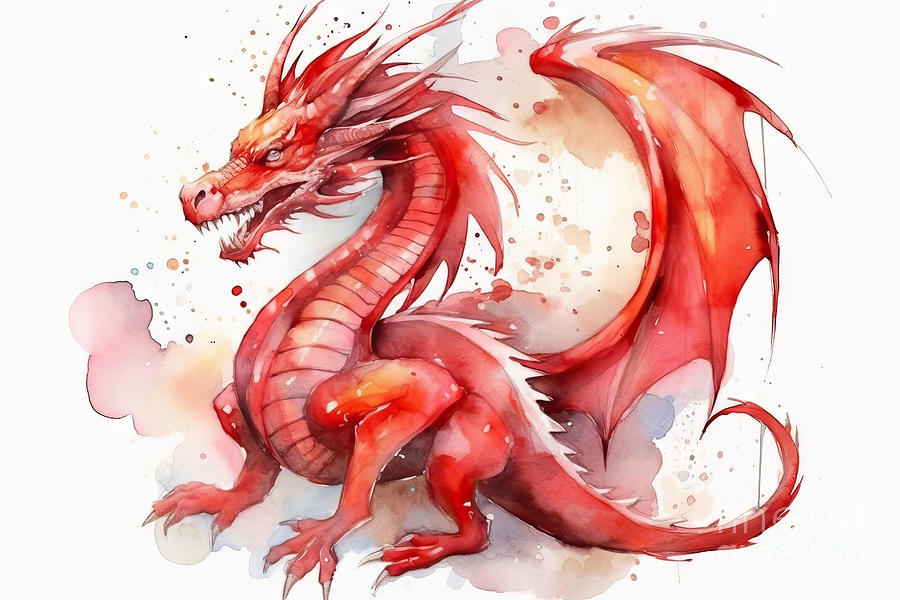 Dragon Painting - Watercolor illustration of a red dragon on white background. by N Akkash