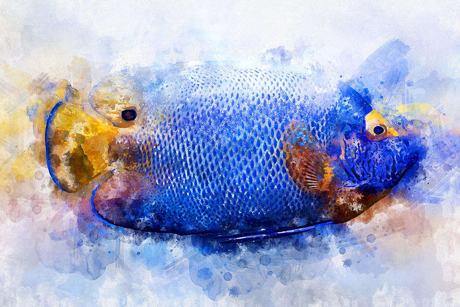 Watercolor illustration of tropic fish blueface angelfish Digital Art ...