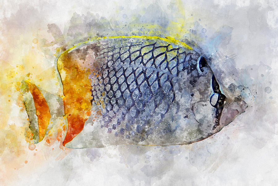 Watercolor illustration of tropic fish pearlscale butterflyfish ...