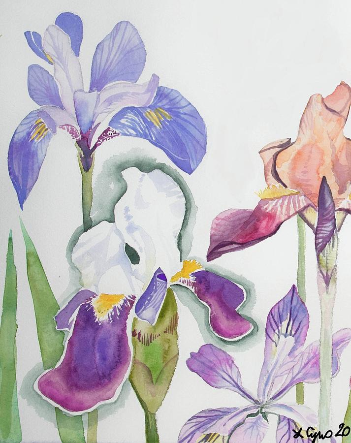 Watercolor - Iris Grouping Detail Painting by Cascade Colors