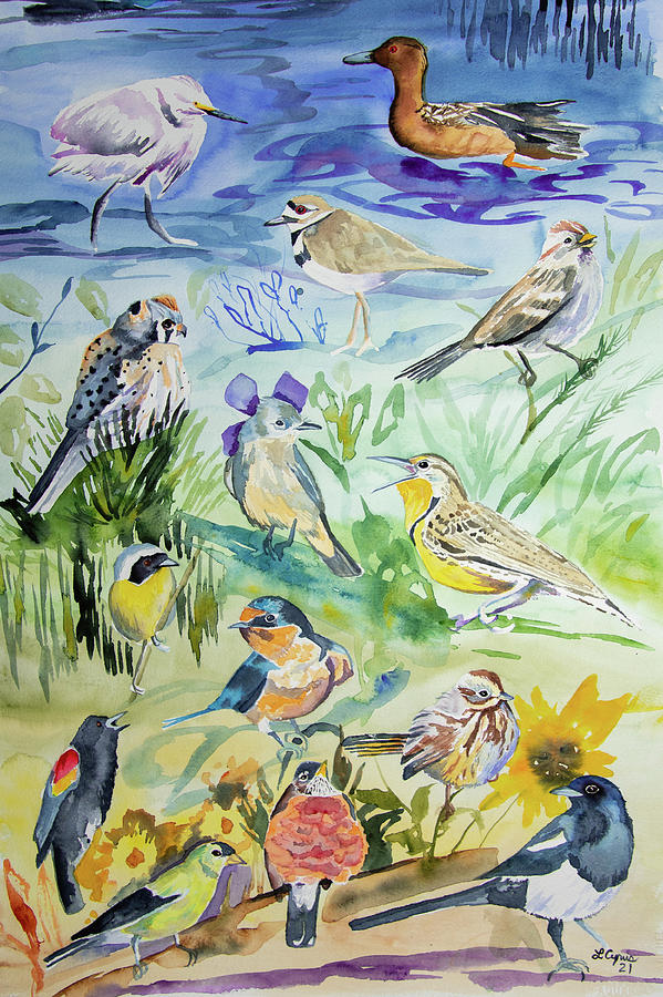 Watercolor - Lowry Open Space Birds Painting by Cascade Colors