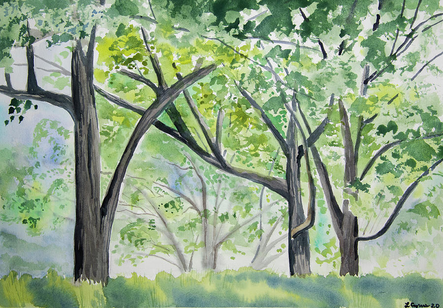 Watercolor - Minnesota Spring Forest Painting by Cascade Colors