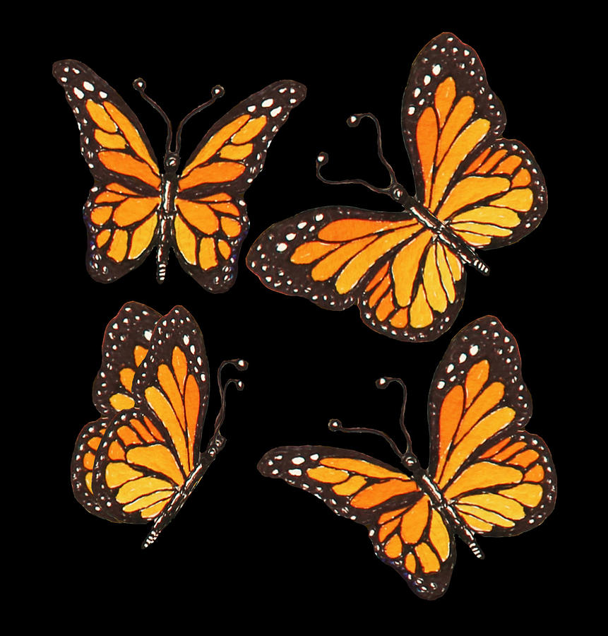 Watercolor Monarch Butterflies On Black  Painting by Irina Sztukowski