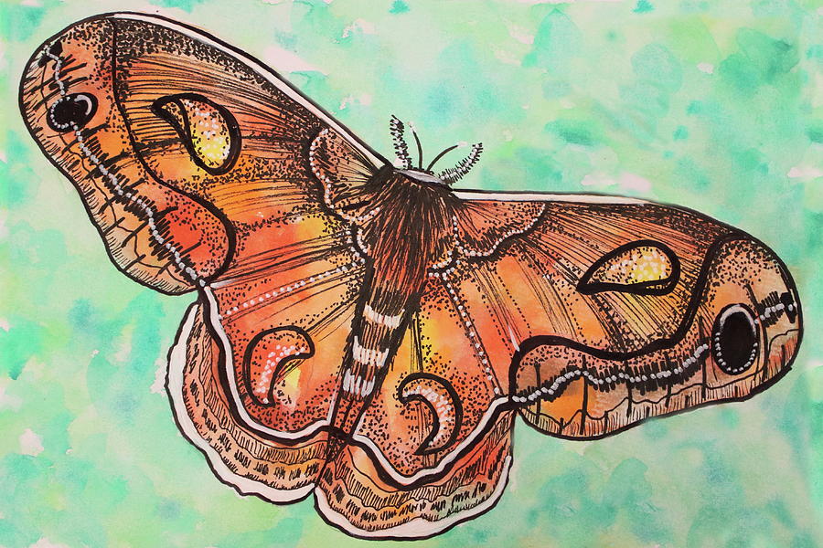 Ink and Watercolor Moth A Delicate Flight Painting by Kenneth Pope