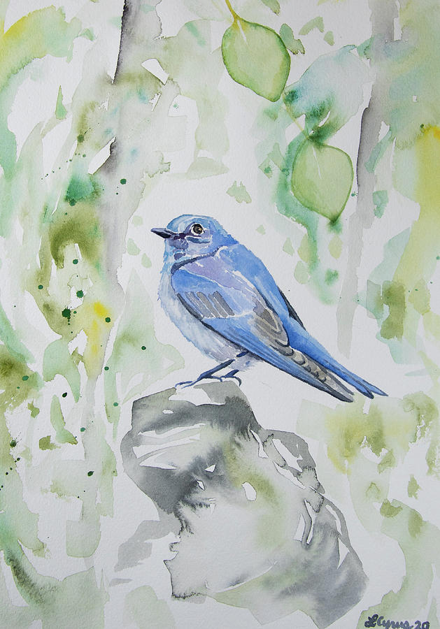 Watercolor - Mountain Bluebird in Spring Painting by Cascade Colors