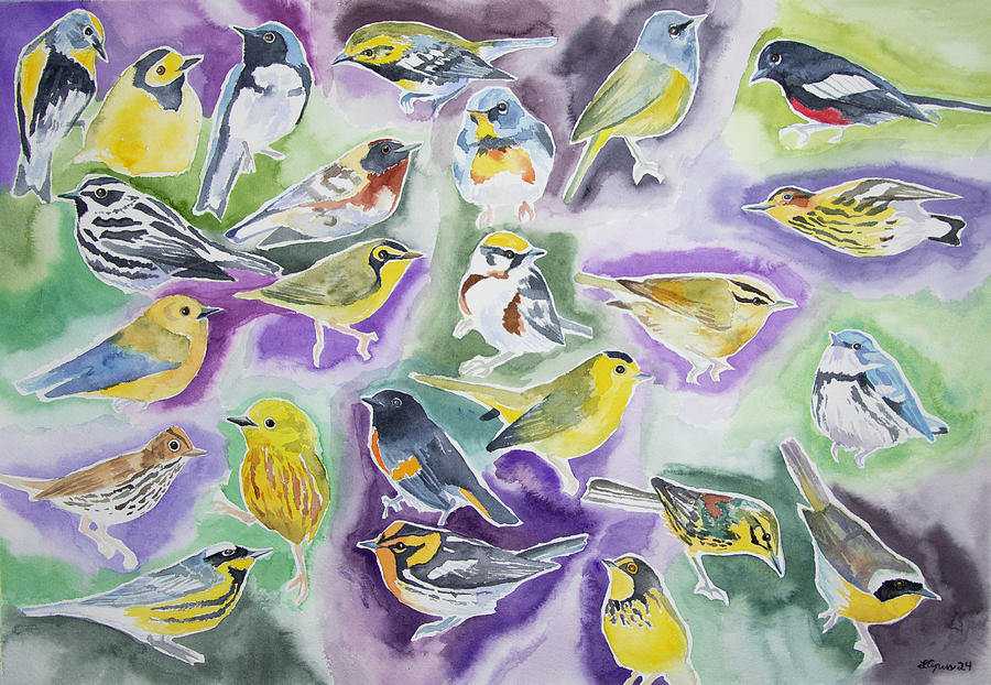 Watercolor - North American Warblers Painting by Cascade Colors