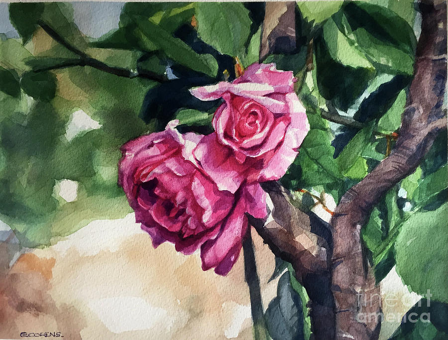 Watercolor of a summer scene of bright pink roses entwining branches Painting by Greta Corens