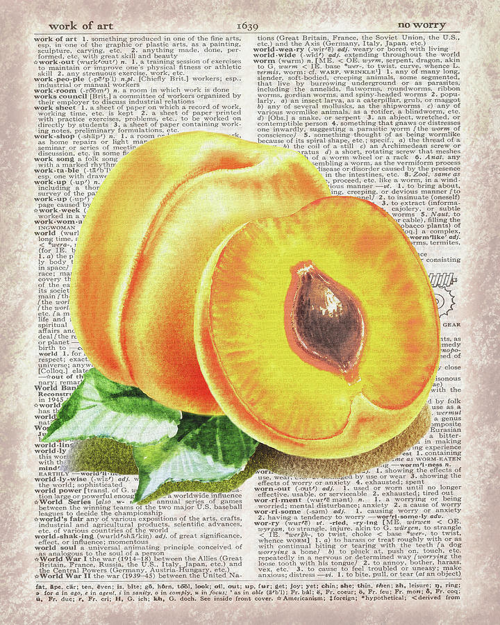 Watercolor Of Apricot On Dictionary Page Work Of Art Painting by Irina Sztukowski
