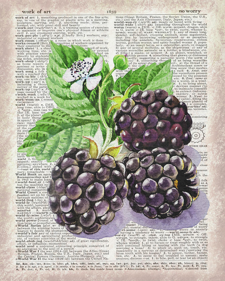 Watercolor Of Blackberries On Dictionary Page Work Of Art Painting by Irina Sztukowski