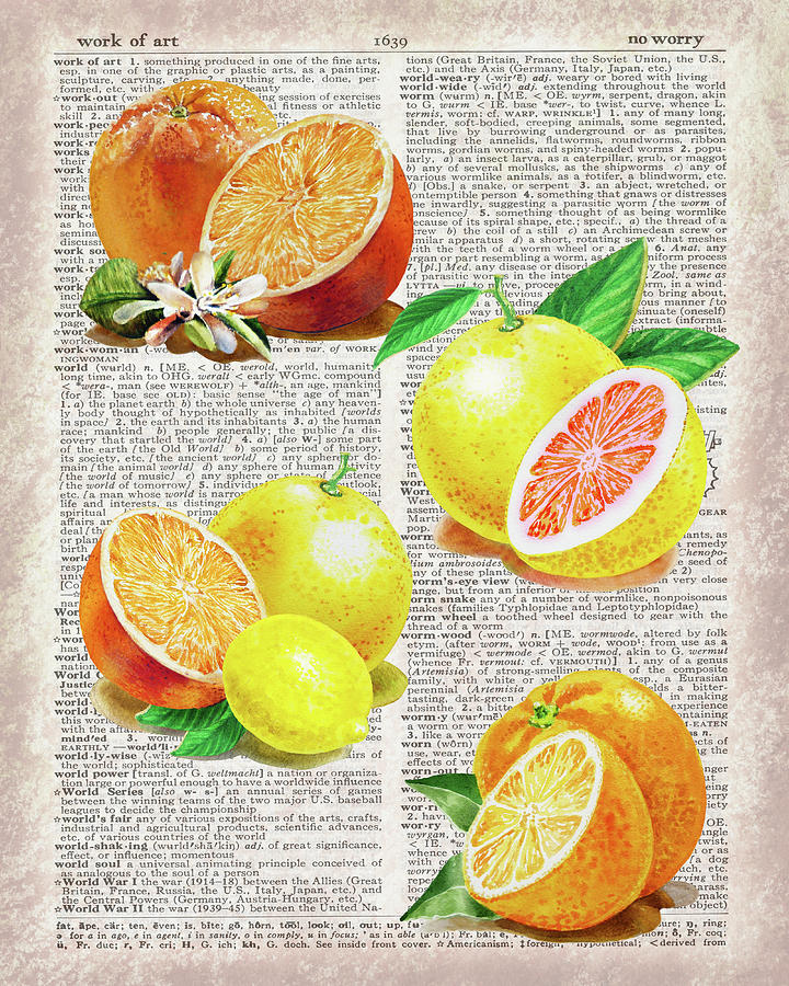Watercolor Of Citrus Fruit On Dictionary Page Work Of Art Painting by Irina Sztukowski