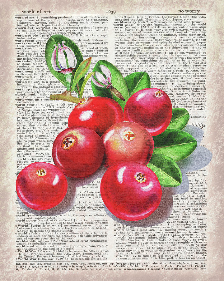 Watercolor Of Cranberries On Dictionary Page Work Of Art Painting by Irina Sztukowski