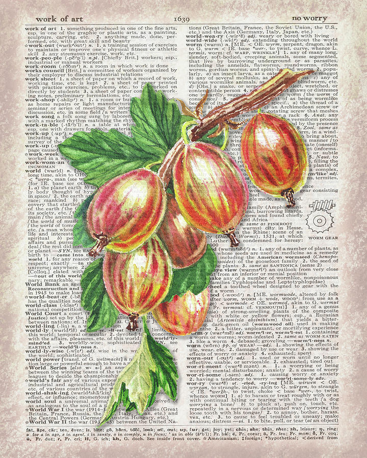 Nature Painting - Watercolor Of Gooseberries On Dictionary Page Work Of Art by Irina Sztukowski
